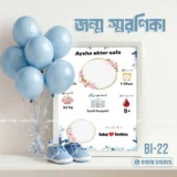 ডিজাইন BI-22